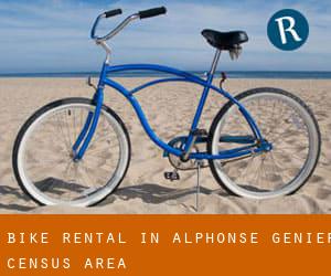 Bike Rental in Alphonse-Génier (census area)