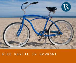 Bike Rental in Kowrowa
