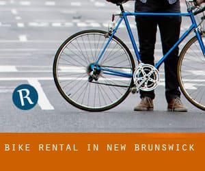 Bike Rental in New Brunswick