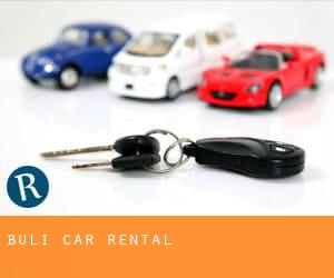 Buli car rental