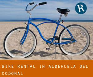 Bike Rental in Aldehuela del Codonal