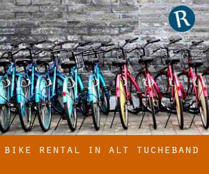 Bike Rental in Alt Tucheband