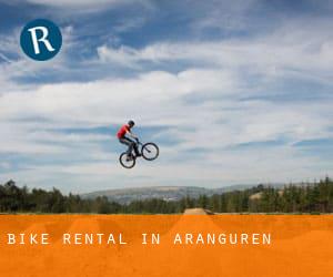 Bike Rental in Aranguren