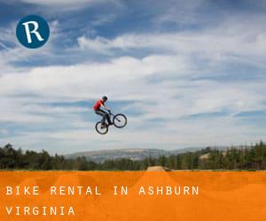 Bike Rental in Ashburn (Virginia)