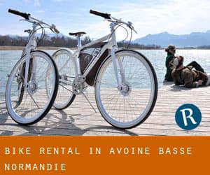 Bike Rental in Avoine (Basse-Normandie)