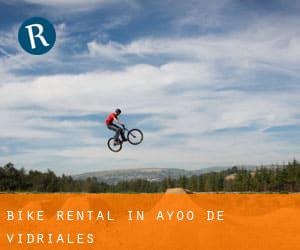 Bike Rental in Ayoó de Vidriales
