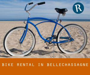Bike Rental in Bellechassagne