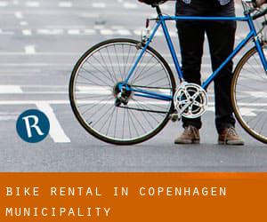 Bike Rental in Copenhagen municipality