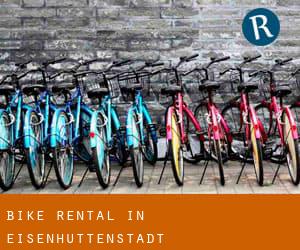 Bike Rental in Eisenhüttenstadt