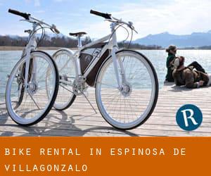 Bike Rental in Espinosa de Villagonzalo