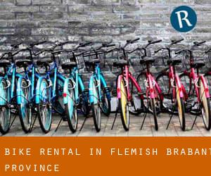 Bike Rental in Flemish Brabant Province Bike Rental in Flemish Brabant Province