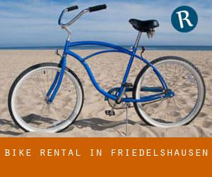 Bike Rental in Friedelshausen