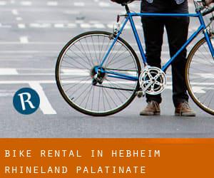 Bike Rental in Heßheim (Rhineland-Palatinate)