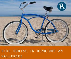 Bike Rental in Henndorf am Wallersee