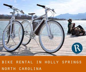 Bike Rental in Holly Springs (North Carolina)