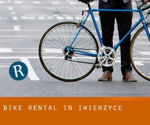 Bike Rental in Iwierzyce