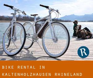 Bike Rental in Kaltenholzhausen (Rhineland-Palatinate)