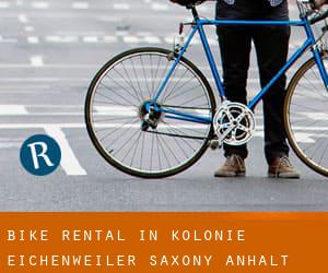Bike Rental in Kolonie Eichenweiler (Saxony-Anhalt)