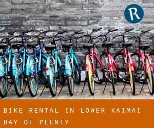 Bike Rental in Lower Kaimai (Bay of Plenty)