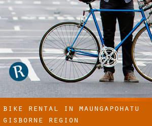 Bike Rental in Maungapohatu (Gisborne Region)