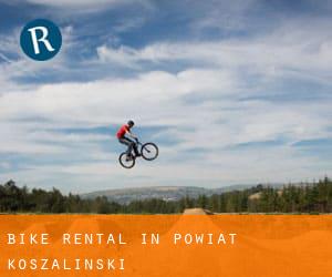 Bike Rental in Powiat koszaliński