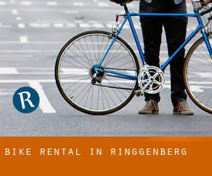 Bike Rental in Ringgenberg
