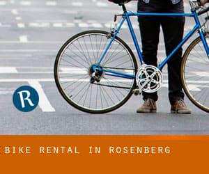 Bike Rental in Rosenberg