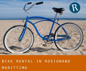 Bike Rental in Rosignano Marittimo