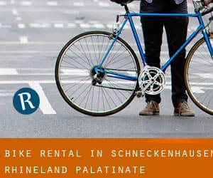 Bike Rental in Schneckenhausen (Rhineland-Palatinate)