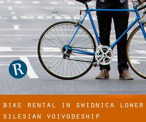 Bike Rental in Świdnica (Lower Silesian Voivodeship)