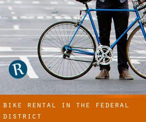 Bike Rental in The Federal District