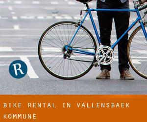 Bike Rental in Vallensbæk Kommune