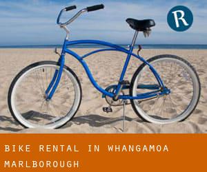 Bike Rental in Whangamoa (Marlborough)