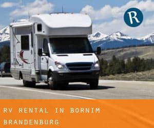 RV Rental in Bornim (Brandenburg)